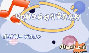 QQ群全自动引流音乐粉，单账号一天轻松引流30+-大东资源库