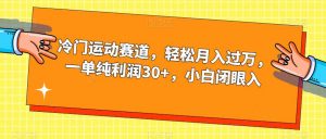 冷门运动赛道，轻松月入过万，一单纯利润30+，小白闭眼入【揭秘】-大东资源库