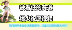 被看低的赛道爆火祝愿视频，玩法简单小白必做无脑操作，流量大涨粉快日入500-大东资源库