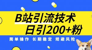 B站引流技术：每天引流200精准粉，简单操作，长期稳定，规避风险-大东资源库