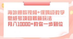 海外爆款视频+保姆级教学，壁纸号项目最新玩法，月入10000+教你一步到位【揭秘】-大东资源库