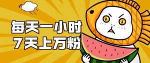 暴力涨粉项目：每天一小时，七天上万粉【揭秘】-大东资源库