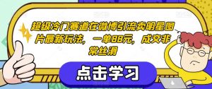 超级冷门赛道在微博引流卖明星图片最新玩法，一单88元，成交非常丝滑【揭秘】-大东资源库