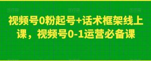 视频号0粉起号+话术框架线上课，视频号0-1运营必备课-大东资源库