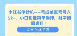 小红书印钞机——号成单账号月入5k+，小白也能简单操作，解决刚需项目【揭秘】-大东资源库