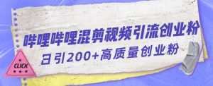 哔哩哔哩B站混剪视频引流创业粉日引300+-大东资源库