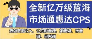 全新亿万级蓝海市场通惠达cps，最强管道收入，让你睡着赚、躺着赚、玩着赚、轻松赚【揭秘】-大东资源库
