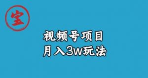 宝哥视频号无货源带货视频月入3w，详细复盘拆解-大东资源库