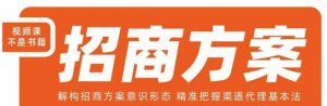 王昕招商方案，解构招商方案意识形态，精准把握渠道代理基本法-大东资源库