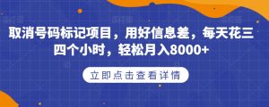 取消号码标记项目，用好信息差，每天花三四个小时，轻松月入8000+【揭秘】-大东资源库