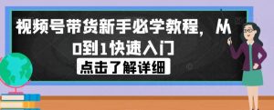 视频号带货新手必学教程，从0到1快速入门-大东资源库