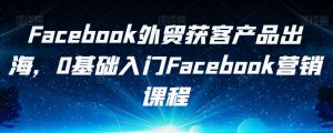 Facebook外贸获客产品出海，0基础入门Facebook营销课程-大东资源库