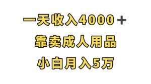 一天收入4000+，靠卖成人用品，小白轻松月入5万【揭秘】-大东资源库