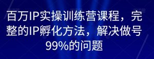 百万IP实操训练营课程，完整的IP孵化方法，解决做号99%的问题-大东资源库