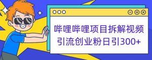 哔哩哔哩项目拆解引流创业粉日引300+小白可轻松上手【揭秘】-大东资源库