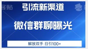 价值2980的全新微信引流技术，只有你想不到，没有做不到【揭秘】-大东资源库