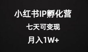 价值2000+的小红书IP孵化营项目，超级大蓝海，七天即可开始变现，稳定月入1W+-大东资源库