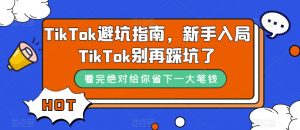 TikTok避坑指南，新手入局TikTok别再踩坑了-大东资源库