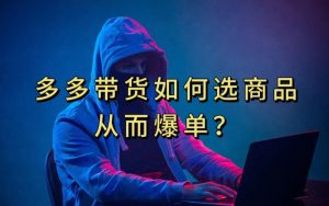 多多视频带货选什么商品链接才能爆单，10分钟教会你，爆单不是浮云【揭秘】-大东资源库