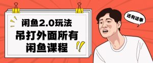 闲鱼2.0玩法单号每天日入2000，吊打市面所有课程-大东资源库