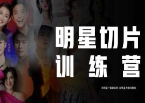 王子·明星切片线上训练营（2023），和明星一起拿红利，让明星为我们赚钱-大东资源库