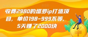 收费2980的塔罗ip打造项目，单价198-999不等，5天赚了2000块【揭秘】-大东资源库