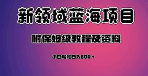 虚拟资源蓝海领域新项目，轻松日入800＋，附保姆级教程及资料-大东资源库