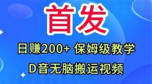 首发，抖音无脑搬运视频，日赚200+保姆级教学【揭秘】-大东资源库