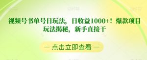 视频号书单号日玩法，日收益1000+！爆款项目玩法揭秘，新手直接干【揭秘】-大东资源库