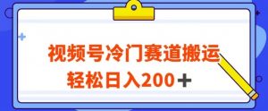 视频号最新冷门赛道搬运玩法，轻松日入200+【揭秘】-大东资源库