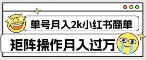 外面收费1980的小红书商单保姆级教程，单号月入2k，矩阵操作轻松月入过万-大东资源库