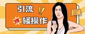 最新引流骚操作，单账号日引50-100，简单粗暴，适合于小白各行各业都可以进行操作，精准粉丝加到爆-大东资源库