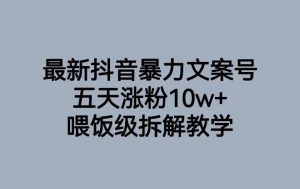 最新抖音暴力文案号，五天涨粉10w+，喂饭级拆解教学-大东资源库