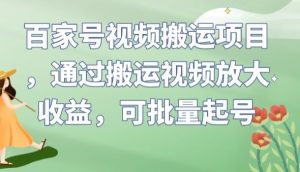 百家号视频搬运项目，通过搬运视频放大收益，可批量起号【揭秘】-大东资源库