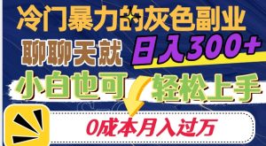 冷门暴利的副业项目，聊聊天就能日入300+，0成本月入过万【揭秘】-大东资源库
