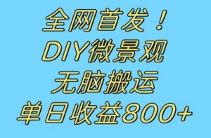全网首发冷门赛道！DIY微景观，无脑搬运视频，日收益800+【揭秘】-大东资源库