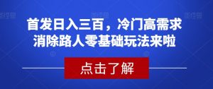 首发日入三百，冷门高需求消除路人零基础玩法来啦【揭秘】-大东资源库