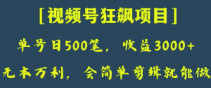 日收款500笔，纯利润3000+，视频号狂飙项目，会简单剪辑就能做【揭秘】-大东资源库