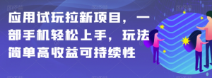 应用试玩拉新项目，一部手机轻松上手，玩法简单高收益可持续性【揭秘】-大东资源库