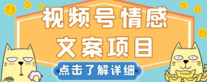视频号情感文案项目，简单操作，新手小白轻松上手日入200+【揭秘】-大东资源库
