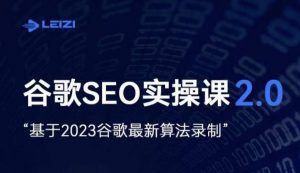 雷子·谷歌SEO 2.0实战课，独立站询盘自由必备，基于2023谷歌最新算法录制-大东资源库