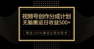 最新视频号创作分成计划，无脑搬运一天收益500+，100%搬运过原创技巧【揭秘】-大东资源库