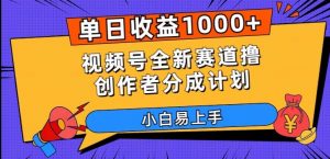 单日收益1000+，视频号全新赛道撸创作者分成计划，小白易上手【揭秘】-大东资源库