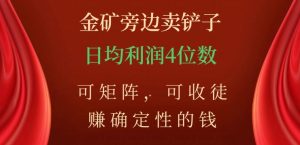 金矿旁边卖铲子，赚确定性的钱，可矩阵，可收徒，日均利润4位数【揭秘】-大东资源库