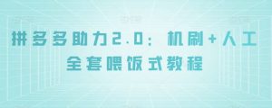 拼多多助力2.0：机刷+人工全套喂饭式教程【揭秘】-大东资源库