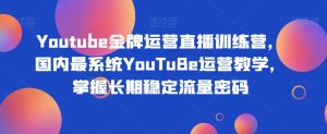 Youtube金牌运营直播训练营，国内最系统YouTuBe运营教学，掌握长期稳定流量密码-大东资源库