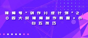 视频号“创作分成计划”2.0四大类视频制作教程+小白五技巧【揭秘】-大东资源库