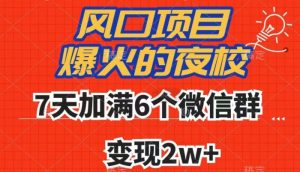 全网首发，爆火的夜校，7天加满6个微信群，变现2w+【揭秘】-大东资源库