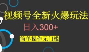 视频号最新爆火玩法，日入300+，简单操作无门槛【揭秘】-大东资源库