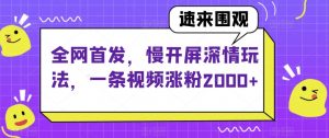 全网首发，慢开屏深情玩法，一条视频涨粉2000+【揭秘】-大东资源库